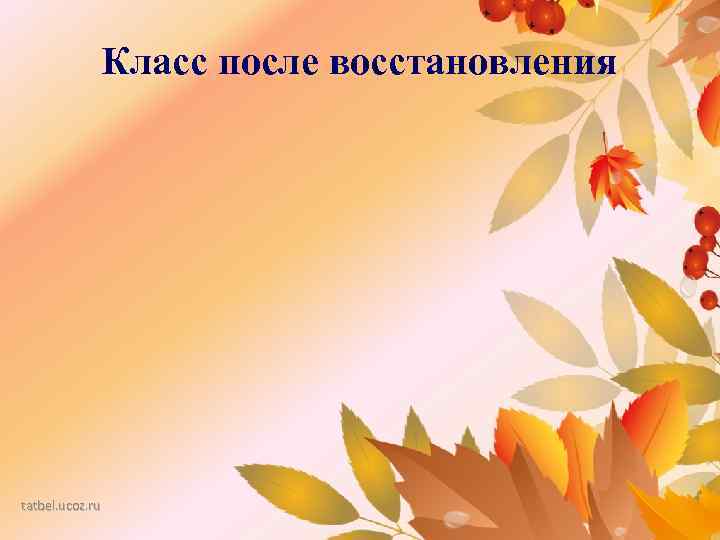 Класс после восстановления tatbel. ucoz. ru 