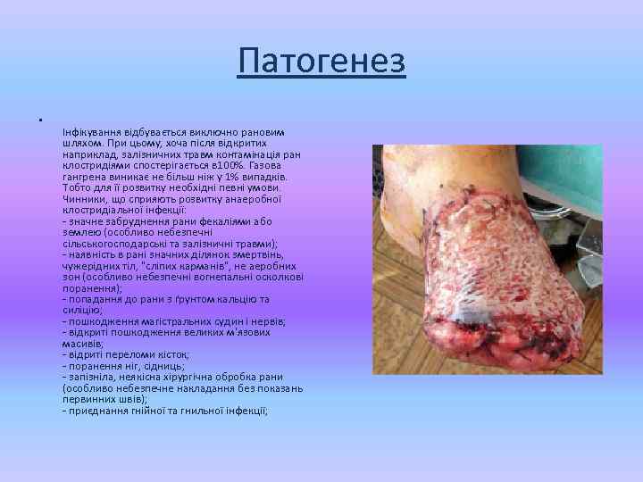 Патогенез • Інфікування відбувається виключно рановим шляхом. При цьому, хоча після відкритих наприклад, залізничних