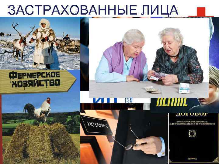 ЗАСТРАХОВАННЫЕ ЛИЦА 