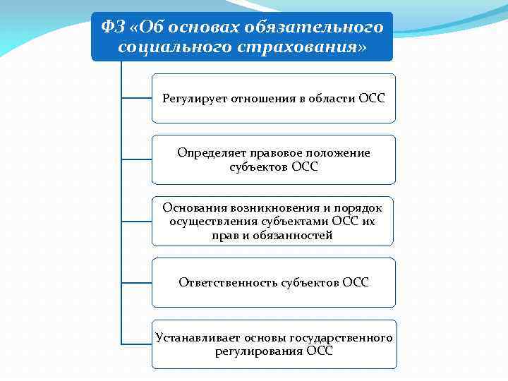 Виды обеспечения по страхованию