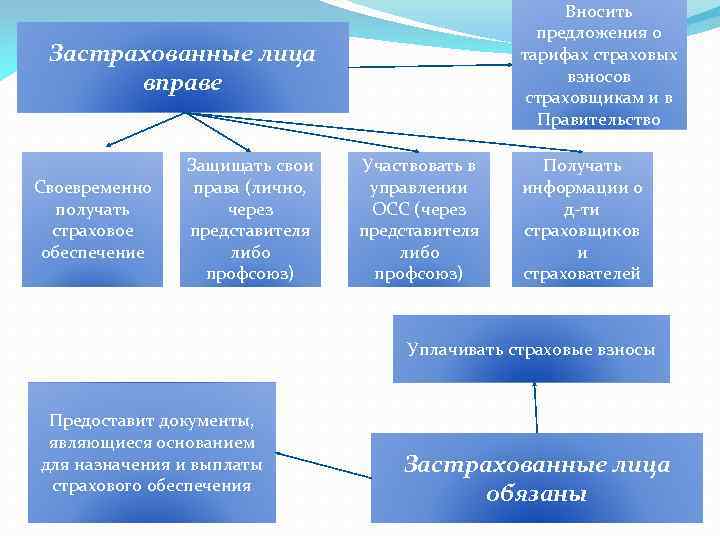 Вносить предложения о тарифах страховых взносов страховщикам и в Правительство Застрахованные лица вправе Своевременно