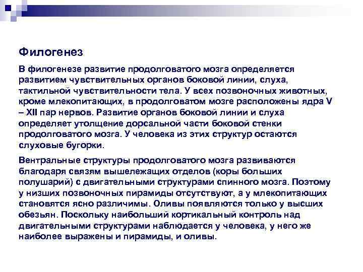 Филогенез В филогенезе развитие продолговатого мозга определяется развитием чувствительных органов боковой линии, слуха, тактильной