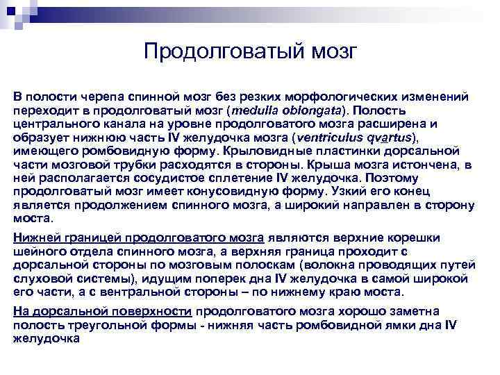 Продолговатый мозг В полости черепа спинной мозг без резких морфологических изменений переходит в продолговатый