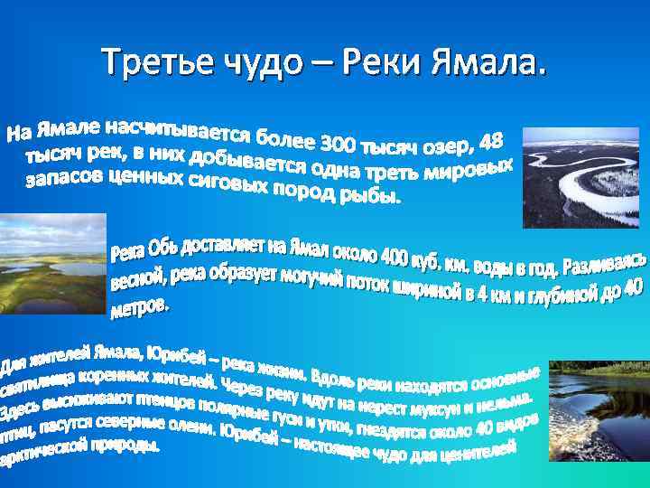 Третье чудо – Реки Ямала. 
