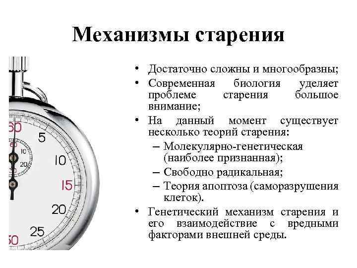 Механизмы старения • Достаточно сложны и многообразны; • Современная биология уделяет проблеме старения большое