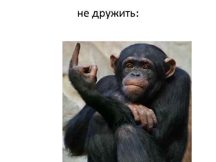 не дружить: 