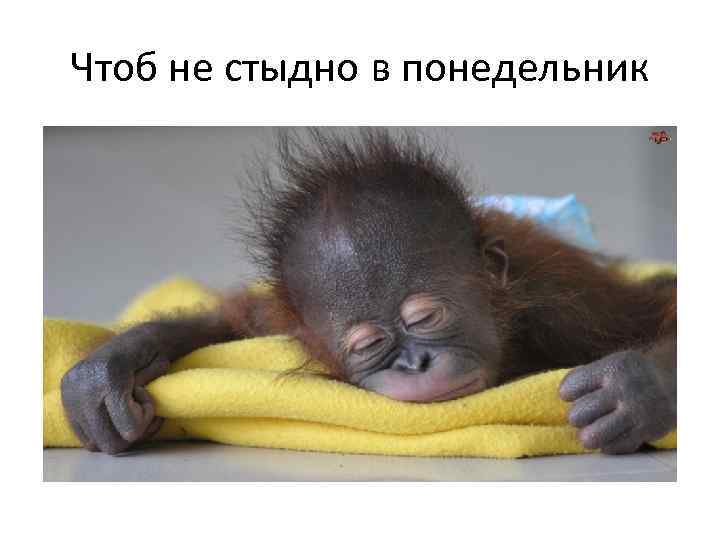 Чтоб не стыдно в понедельник 