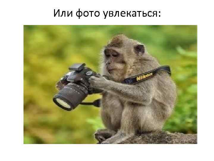 Или фото увлекаться: 