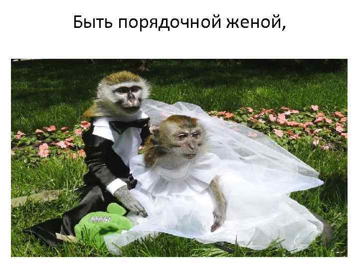 Быть порядочной женой, 