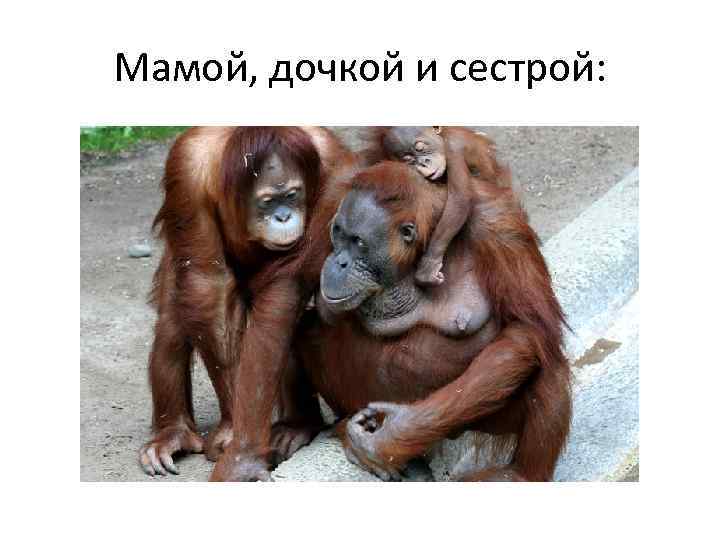 Мамой, дочкой и сестрой: 