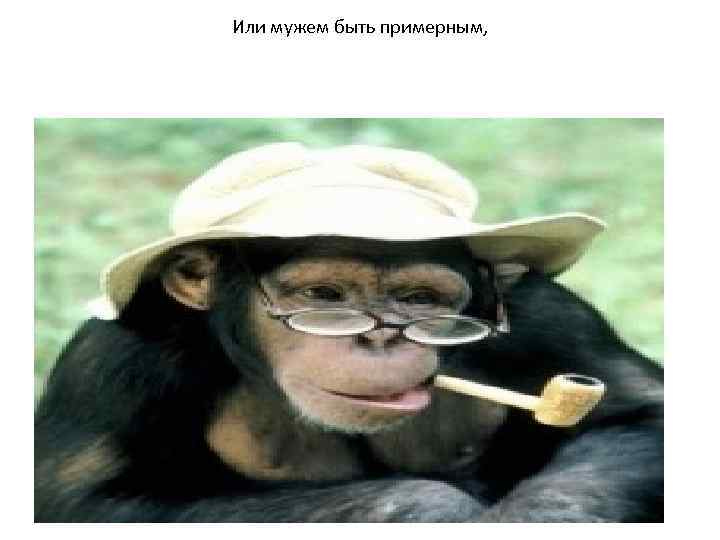 Или мужем быть примерным, 