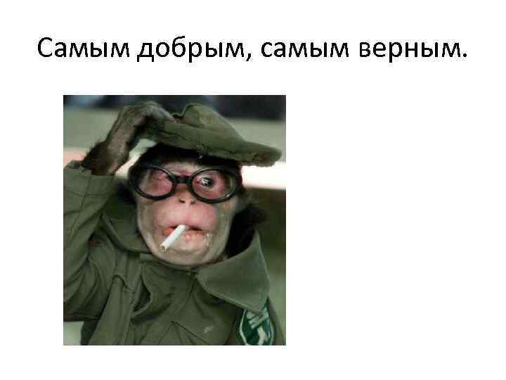 Самым добрым, самым верным. 