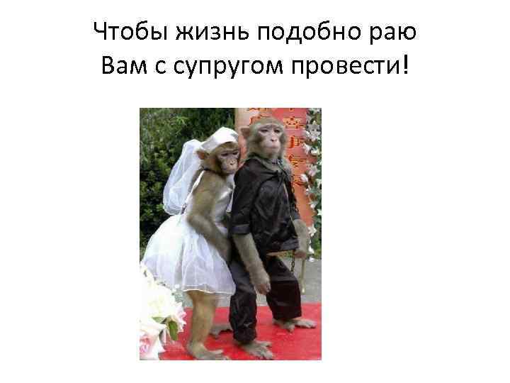 Чтобы жизнь подобно раю Вам с супругом провести! 