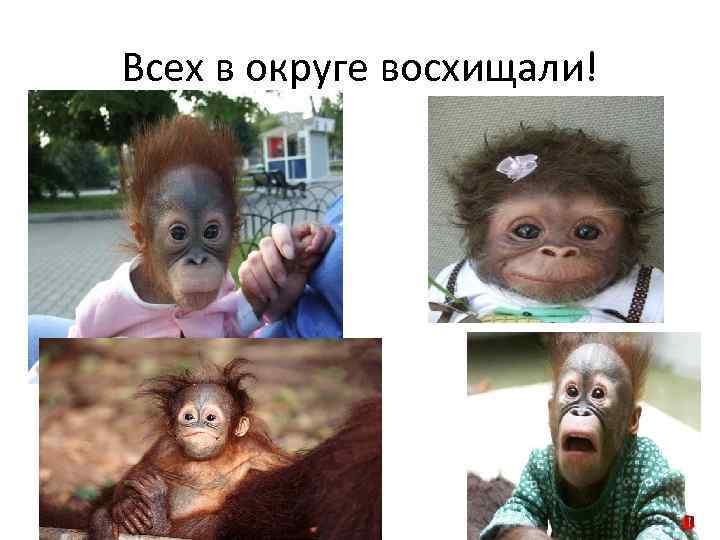 Всех в округе восхищали! 