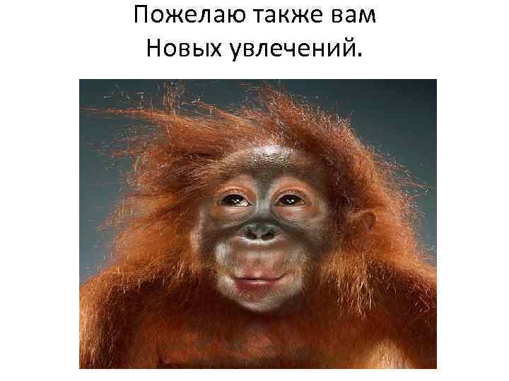 Пожелаю также вам Новых увлечений. 