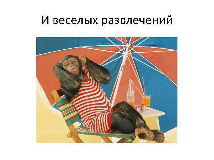 И веселых развлечений 