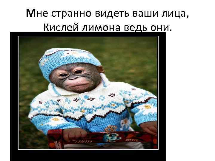 Мне странно видеть ваши лица, Кислей лимона ведь они. 
