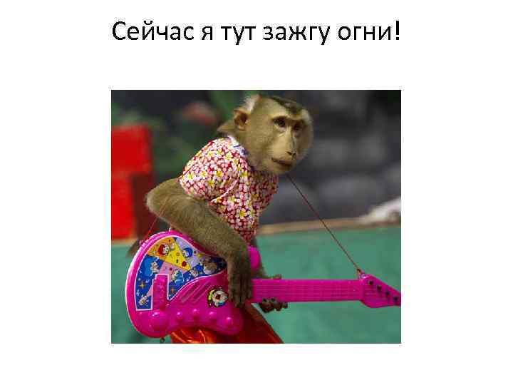 Сейчас я тут зажгу огни! 