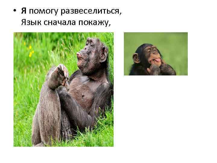  • Я помогу развеселиться, Язык сначала покажу, 