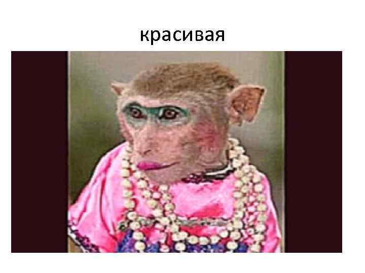 красивая 