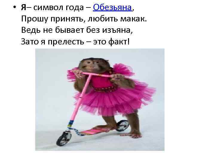 • Я– символ года – Обезьяна, Прошу принять, любить макак. Ведь не бывает