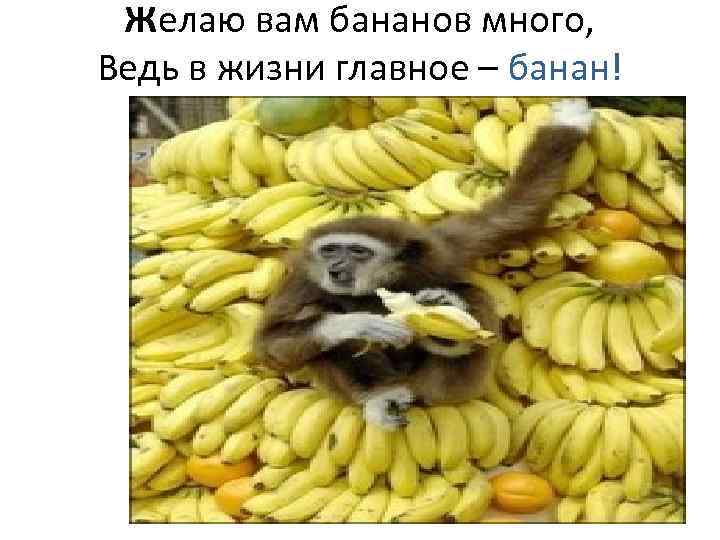 Желаю вам бананов много, Ведь в жизни главное – банан! 