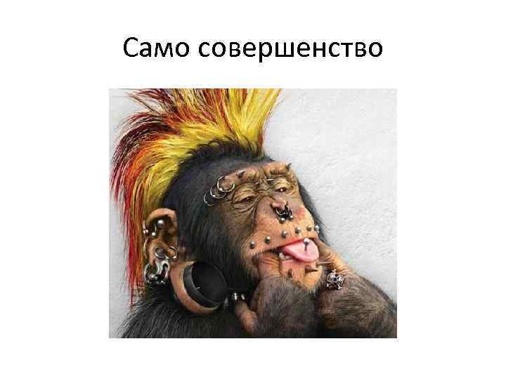 Само совершенство 