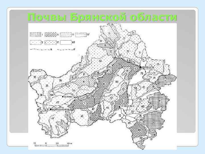 Карта почв брянской области