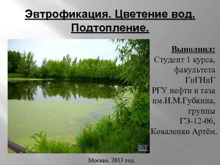 Эвтрофикация. Цветение вод. Подтопление. Выполнил: Студент 1 курса, факультета Ги. ГНи. Г РГУ нефти