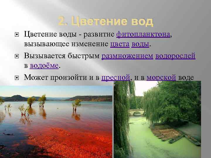 На рисунке показано что в процессе эвтрофикации в водоеме может произойти раванда