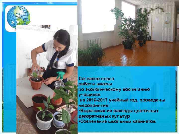 Согласно плана работы школы по экологическому воспитанию учащихся на 2016 -2017 учебный год, проведены