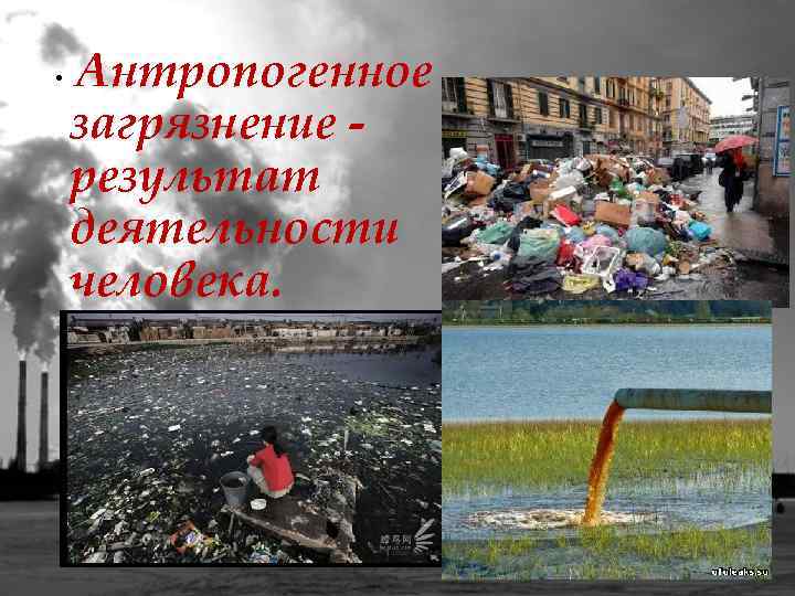  • Антропогенное загрязнение результат деятельности человека. 