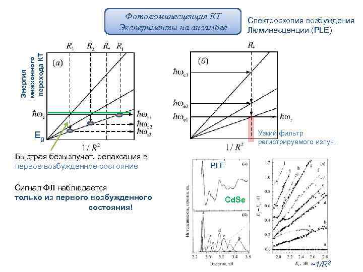 Спектроскопия возбуждения Люминесценции (PLE) Энергия межзонного перехода КТ Фотолюминесценция КТ Эксперименты на ансамбле Узкий