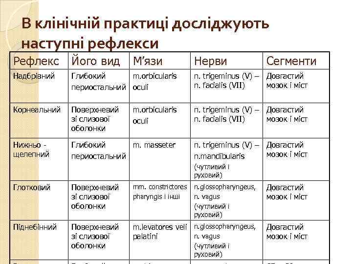 В клінічній практиці досліджують наступні рефлекси Рефлекс Його вид М’язи Нерви Сегменти Надбрівний Глибокий