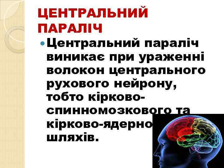 ЦЕНТРАЛЬНИЙ ПАРАЛІЧ Центральний параліч виникає при ураженні волокон центрального рухового нейрону, тобто кірковоспинномозкового та