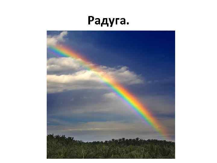 Радуга. 