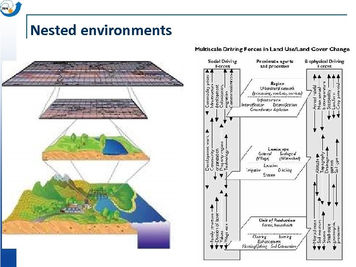 Nested environments Prodes/INPE 2000 -2001 