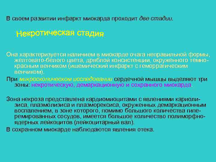 В своем развитии инфаркт миокарда проходит две стадии. Она характеризуется наличием в миокарде очага