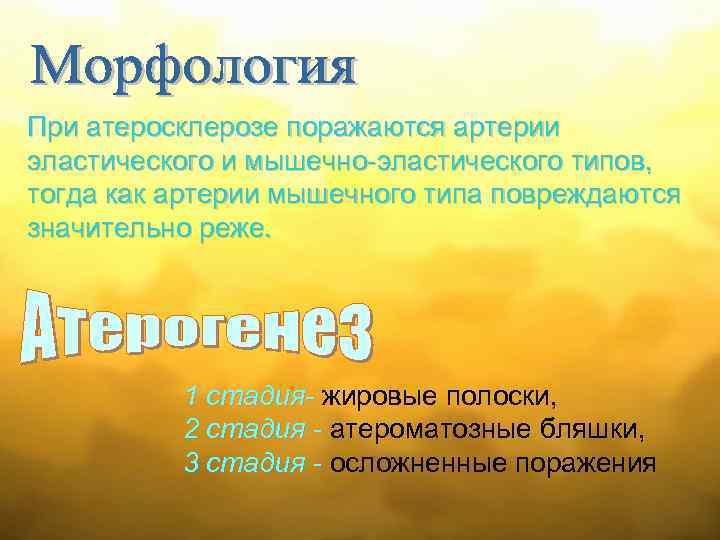 При атеросклерозе поражаются артерии эластического и мышечно-эластического типов, тогда как артерии мышечного типа повреждаются