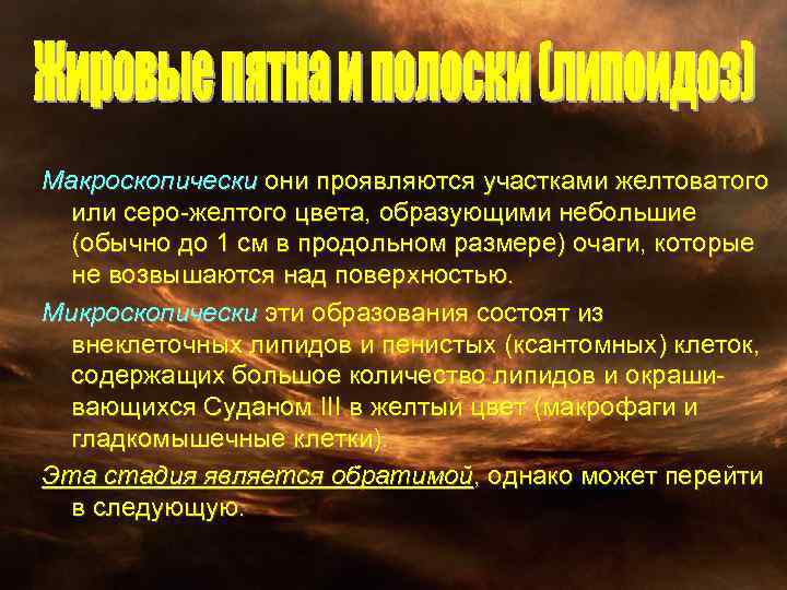 Макроскопически они проявляются участками желтоватого или серо-желтого цвета, образующими небольшие (обычно до 1 см