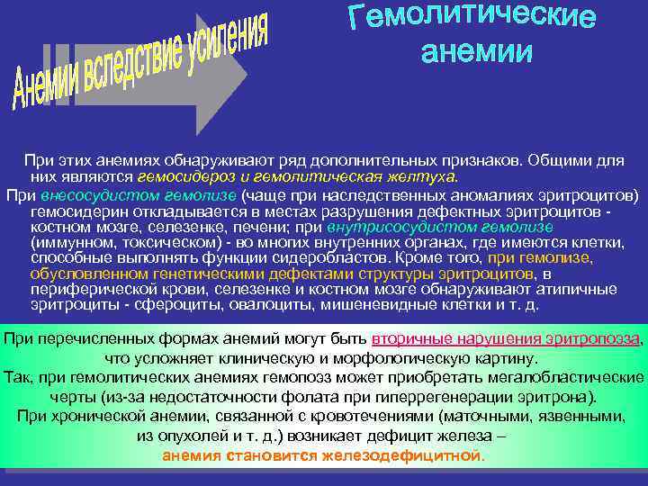 При этих анемиях обнаруживают ряд дополнительных признаков. Общими для них являются гемосидероз и гемолитическая