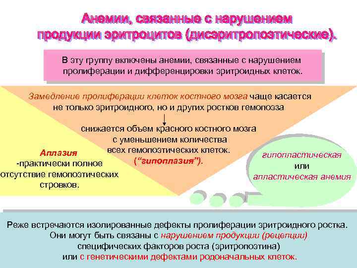 В эту группу включены анемии, связанные с нарушением пролиферации и дифференцировки эритроидных клеток. Замедление