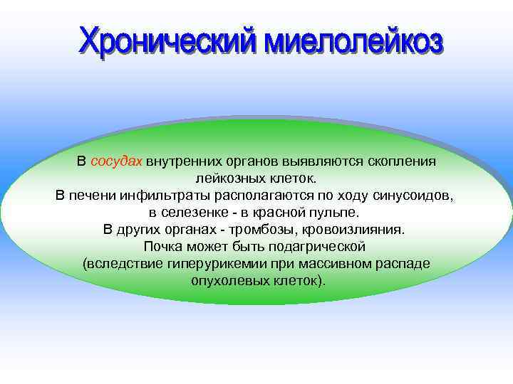 В сосудах внутренних органов выявляются скопления лейкозных клеток. В печени инфильтраты располагаются по ходу