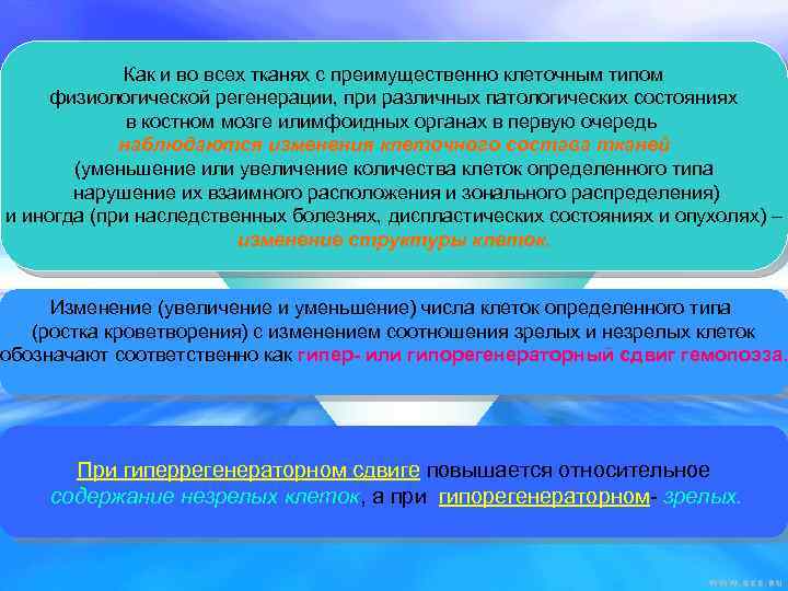 Как и во всех тканях с преимущественно клеточным типом физиологической регенерации, при различных патологических