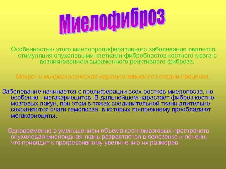 Особенностью этого миелопролиферативного заболевания является стимуляция опухолевыми клетками фибробластов костного мозга с возникновением выраженного