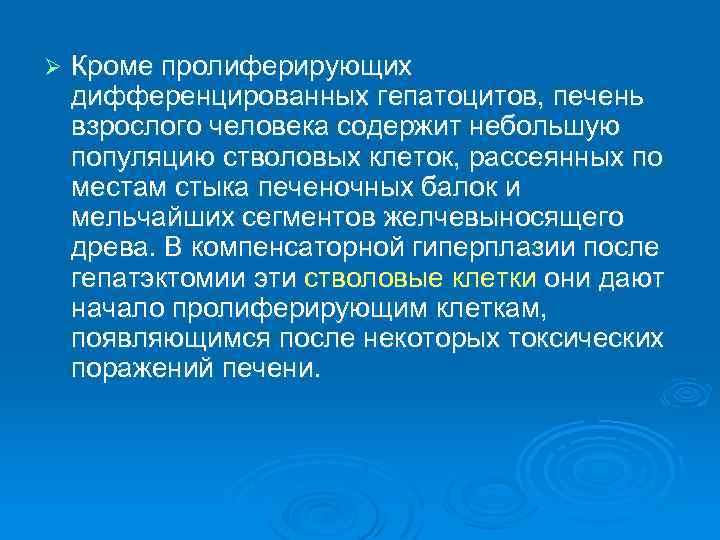 Ø Кроме пролиферирующих дифференцированных гепатоцитов, печень взрослого человека содержит небольшую популяцию стволовых клеток, рассеянных