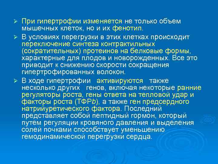 При гипертрофии изменяется не только объем мышечных клеток, но и их фенотип. Ø В