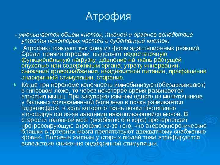Атрофия - уменьшается объем клеток, тканей и органов вследствие утраты некоторых частей и субстанций