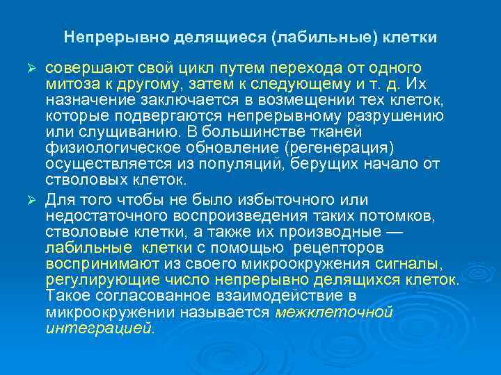 Непрерывно делящиеся (лабильные) клетки совершают свой цикл путем перехода от одного митоза к другому,