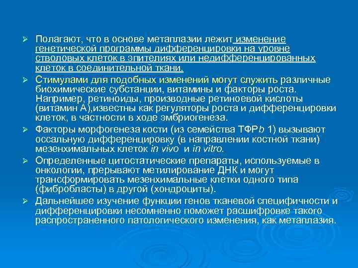 Ø Ø Ø Полагают, что в основе метаплазии лежит изменение генетической программы дифференцировки на
